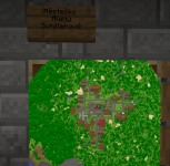 Městečko Aleny Schillerové.png